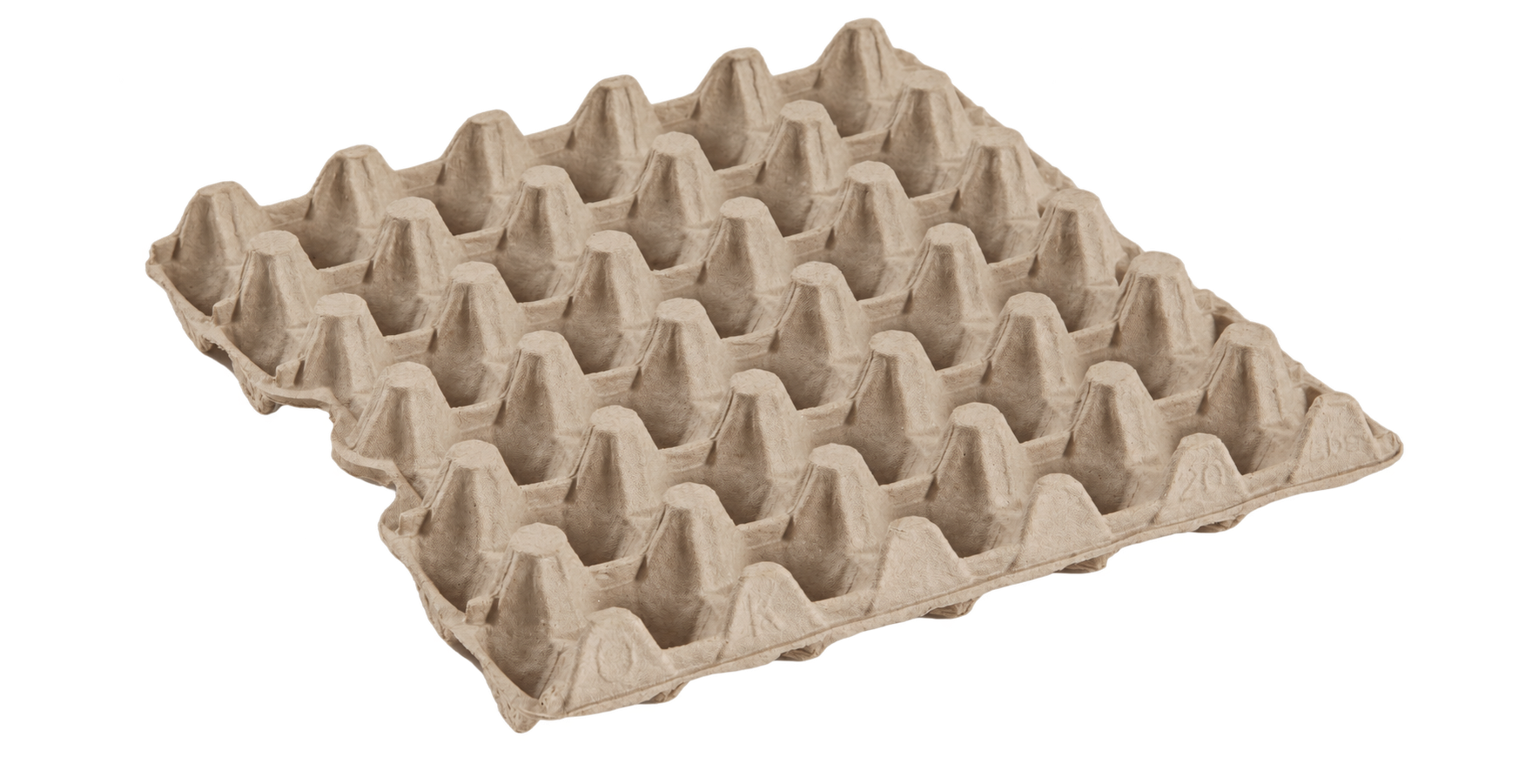 Olcan molded fiber 30-cell egg tray